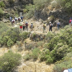 Junio - Caminata C.C. El Valle de Tenoya, de La Degollada Las Palomas hasta Juncalillo